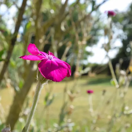 Three Bedroom Lovely In * Joganville